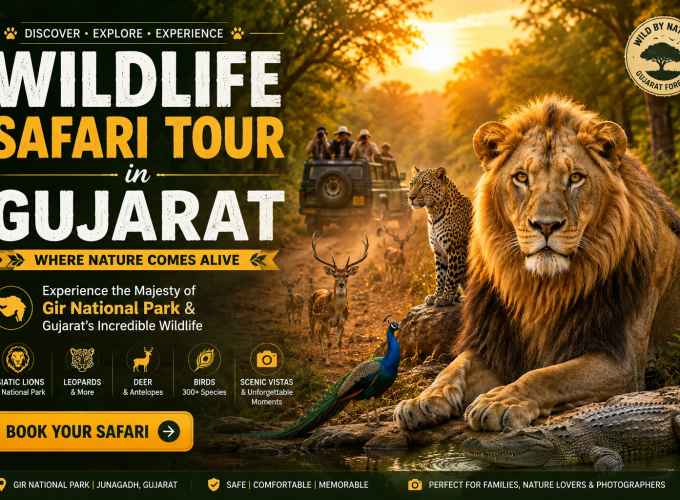 Wildlife Safari Tour in Gujarat